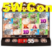Bet55,Bet55 App