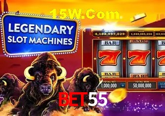 Sistemas de Segurança Bet55